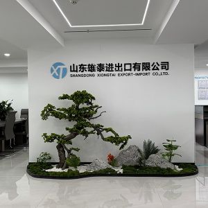 厂区展示